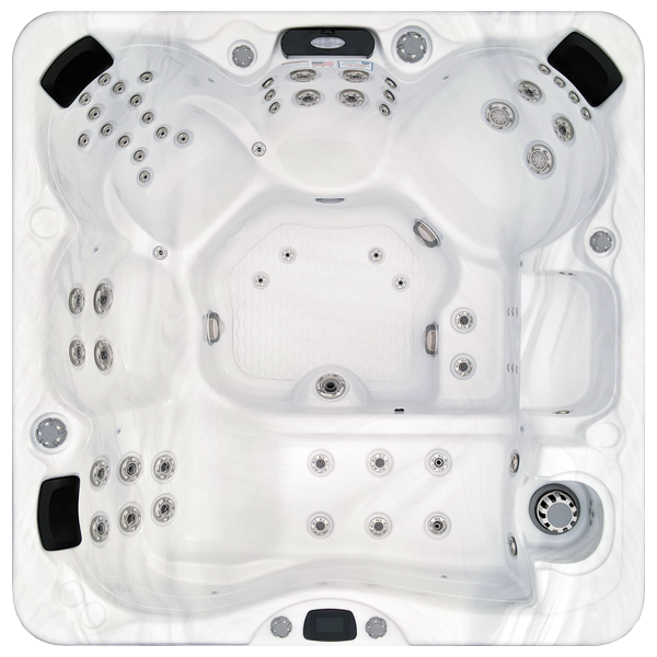 Avalon-X EC-867LX hot tubs for sale in Burien